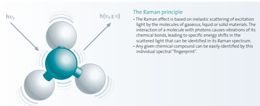 Raman Principle