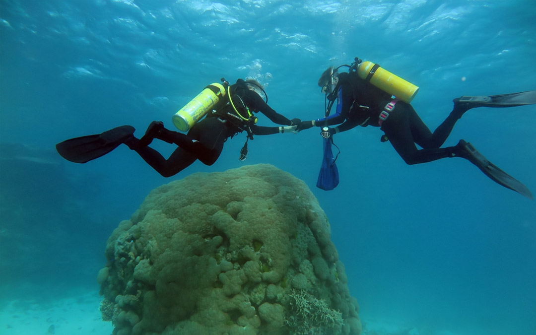 Co-authors Bruce and Kyle Fouke collecting Porites biopsy samples at 10 meters depth at Myrmidon – the most seaward reef of the Great Barrier Reef, located 124 km off the coast of northeastern Australia.