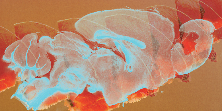 Art of Science image titled Waves